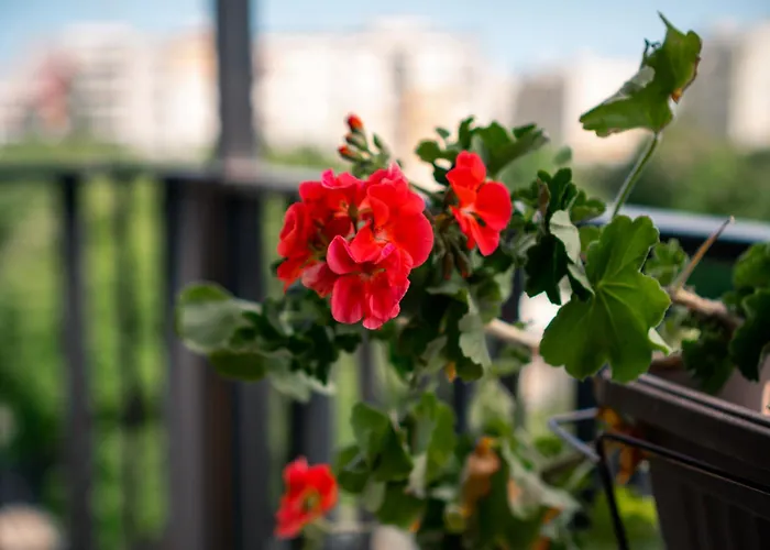 Sky With Free Garage - Sky Апартамент